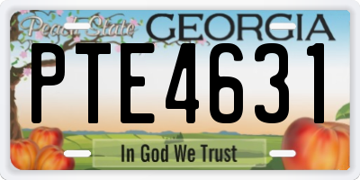 GA license plate PTE4631