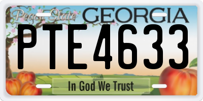 GA license plate PTE4633