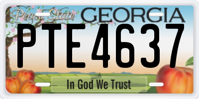 GA license plate PTE4637