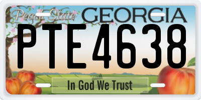 GA license plate PTE4638