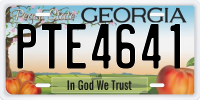 GA license plate PTE4641