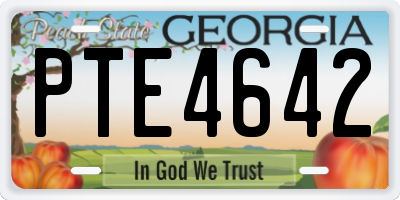 GA license plate PTE4642