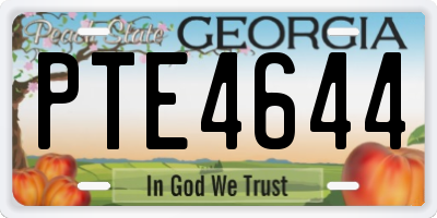 GA license plate PTE4644