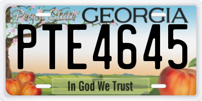 GA license plate PTE4645
