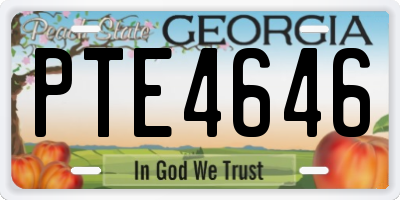 GA license plate PTE4646