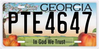 GA license plate PTE4647