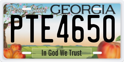 GA license plate PTE4650