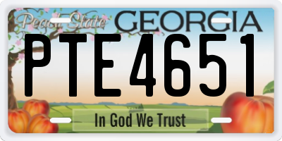 GA license plate PTE4651