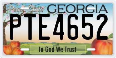 GA license plate PTE4652