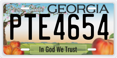 GA license plate PTE4654