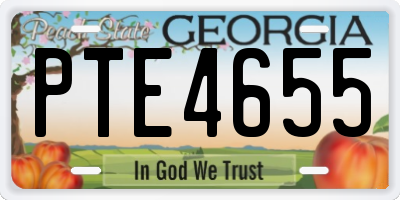 GA license plate PTE4655