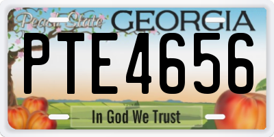 GA license plate PTE4656