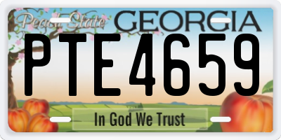 GA license plate PTE4659