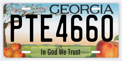 GA license plate PTE4660
