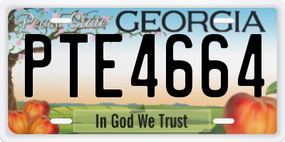 GA license plate PTE4664