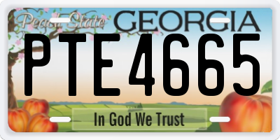 GA license plate PTE4665
