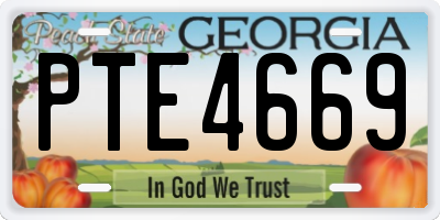 GA license plate PTE4669
