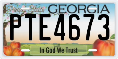 GA license plate PTE4673