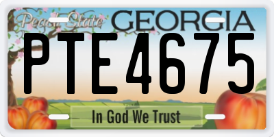 GA license plate PTE4675