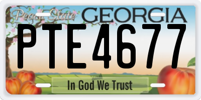 GA license plate PTE4677