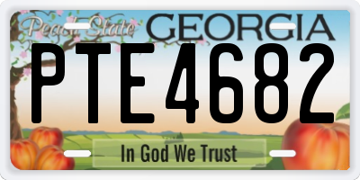 GA license plate PTE4682