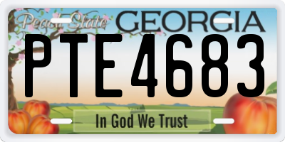 GA license plate PTE4683