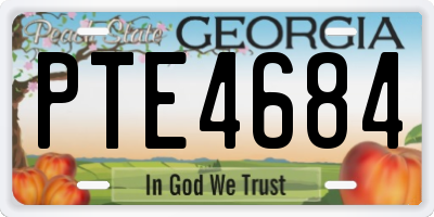 GA license plate PTE4684