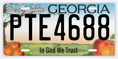 GA license plate PTE4688