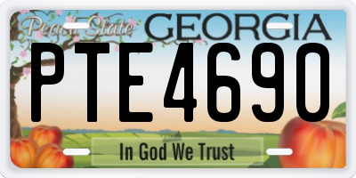 GA license plate PTE4690