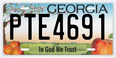 GA license plate PTE4691