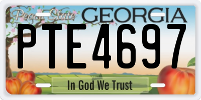 GA license plate PTE4697