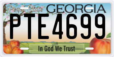 GA license plate PTE4699