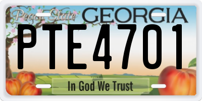 GA license plate PTE4701