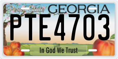 GA license plate PTE4703