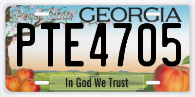 GA license plate PTE4705