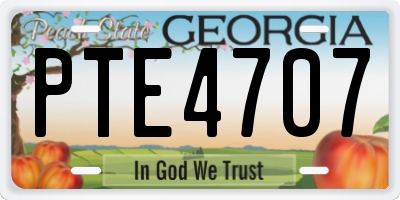 GA license plate PTE4707