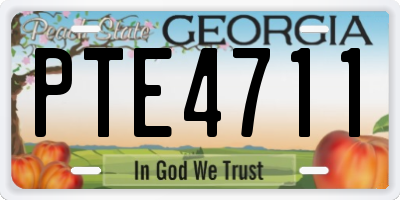 GA license plate PTE4711