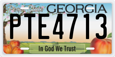 GA license plate PTE4713