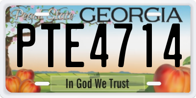 GA license plate PTE4714
