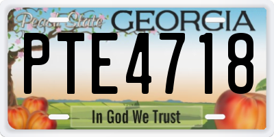 GA license plate PTE4718