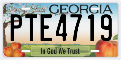 GA license plate PTE4719