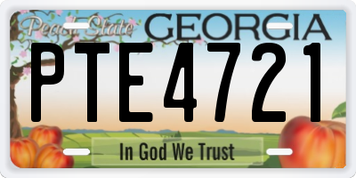 GA license plate PTE4721