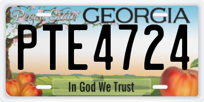 GA license plate PTE4724
