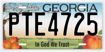 GA license plate PTE4725