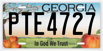 GA license plate PTE4727