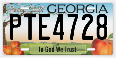 GA license plate PTE4728