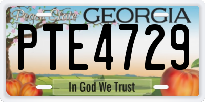 GA license plate PTE4729