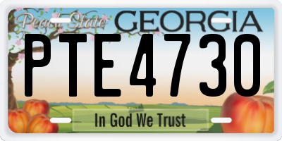 GA license plate PTE4730