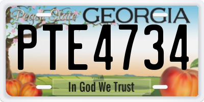 GA license plate PTE4734