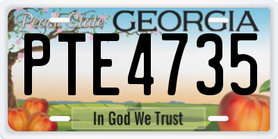 GA license plate PTE4735